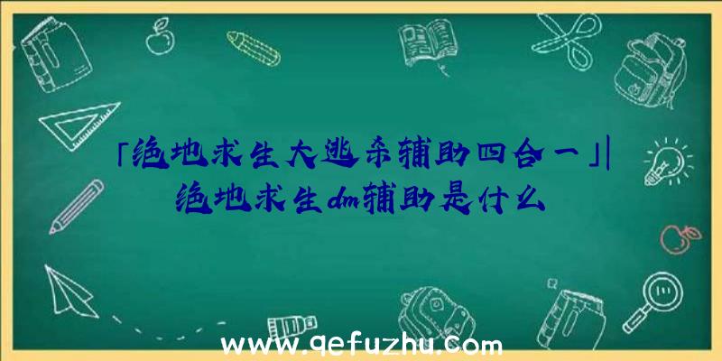 「绝地求生大逃杀辅助四合一」|绝地求生dm辅助是什么